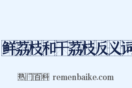 鲜荔枝和干荔枝反义词是什么意思的图片
